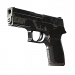 P250 | Dark Filigree (Well-Worn)
