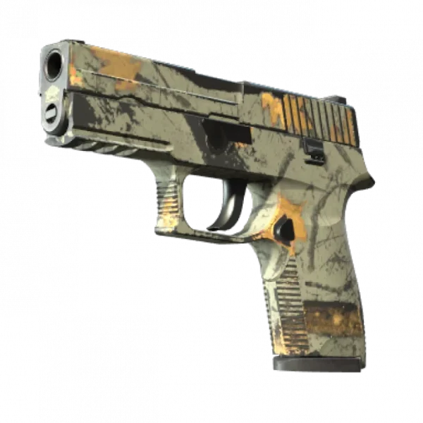 P250 | Modern Hunter (Well-Worn)