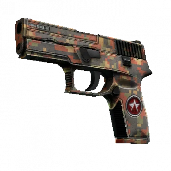 P250 | Red Rock (Well-Worn)