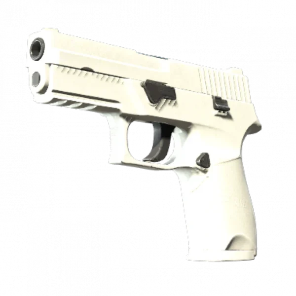 P250 | Whiteout (Factory New)