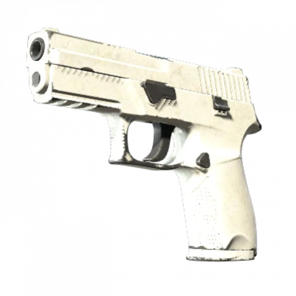 P250 | Whiteout (Field-Tested)