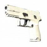 P250 | Whiteout (Well-Worn)