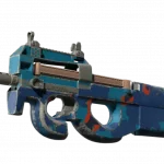 P90 | Blind Spot (Well-Worn)