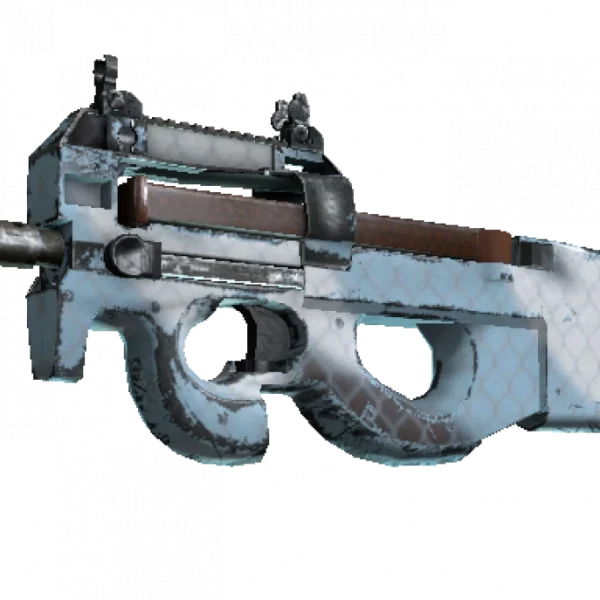 P90 | Glacier Mesh (Well-Worn)