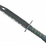 ★ Bayonet | Night (Field-Tested)