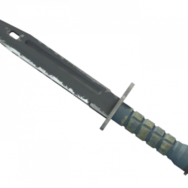 ★ Bayonet | Night (Field-Tested)