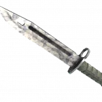 ★ Bayonet | Stained (Field-Tested)