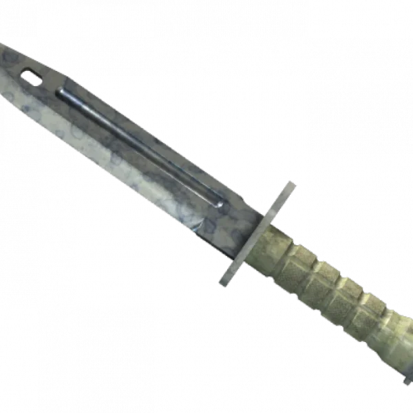 ★ Bayonet | Stained (Well-Worn)