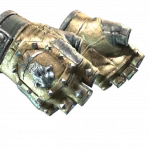 ★ Bloodhound Gloves | Bronzed (Field-Tested)