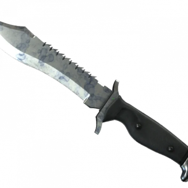 ★ Bowie Knife | Stained (Field-Tested)