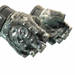 ★ Broken Fang Gloves | Unhinged (Well-Worn)