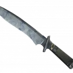 ★ Classic Knife | Stained (Minimal Wear)