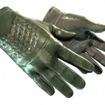 ★ Driver Gloves | Racing Green (Well-Worn)
