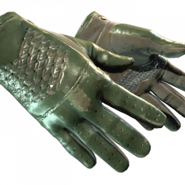 ★ Driver Gloves | Racing Green (Well-Worn)