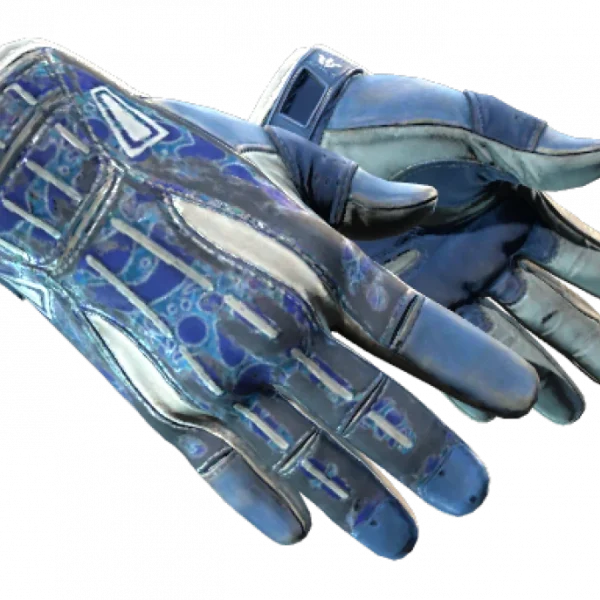 ★ Sport Gloves | Amphibious (Battle-Scarred)