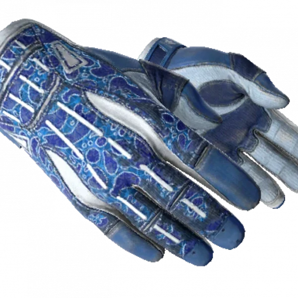 ★ Sport Gloves | Amphibious (Well-Worn)