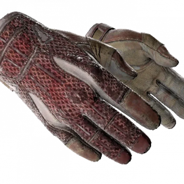 ★ Sport Gloves | Slingshot (Battle-Scarred)