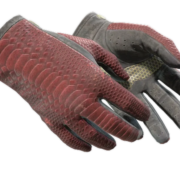 ★ Driver Gloves | Dragon Fists (Field-Tested)