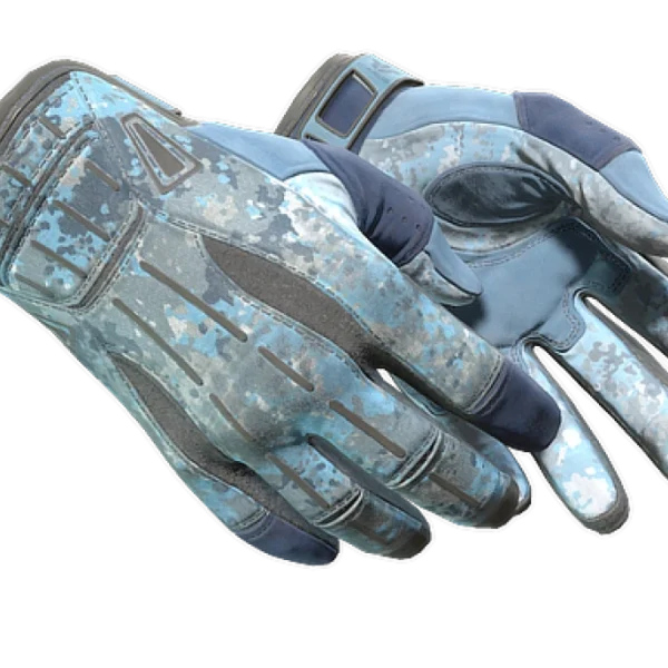 ★ Sport Gloves | Frosty (Well-Worn)
