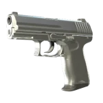 P2000 | Silver (Minimal Wear)