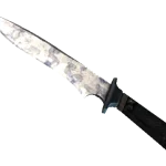 ★ Classic Knife | Stained (Factory New)
