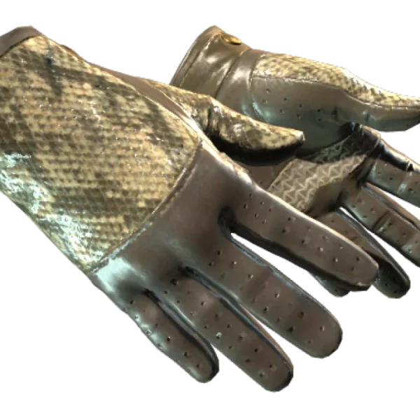 ★ Driver Gloves | Diamondback (Field-Tested)
