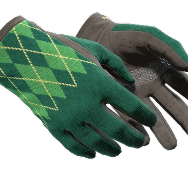 ★ Driver Gloves | Hand Sweaters (Minimal Wear)