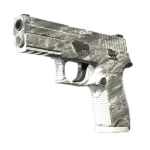 Souvenir P250 | Sleet (Minimal Wear)