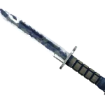 ★ Bayonet | Bright Water (Battle-Scarred)