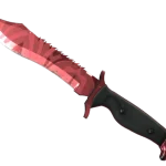 ★ Bowie Knife | Slaughter (Field-Tested)
