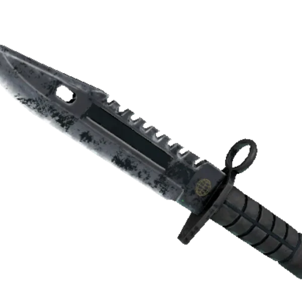 ★ M9 Bayonet | Night (Battle-Scarred)