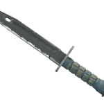 ★ StatTrak™ Bayonet | Night (Field-Tested)