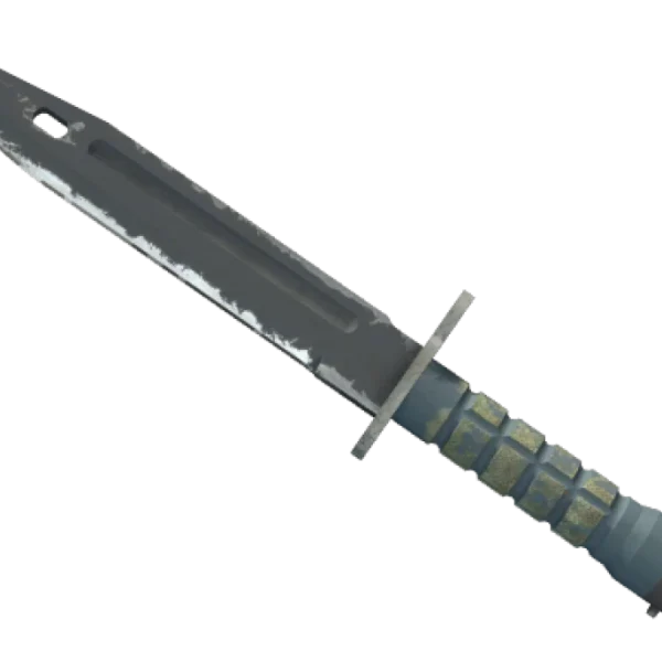 ★ StatTrak™ Bayonet | Night (Field-Tested)
