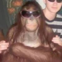 strogo strogo